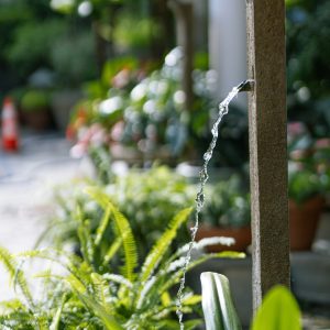 Watering Systems for Indoor Greenery