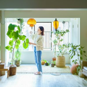 Advanced Home Greenery Care System
